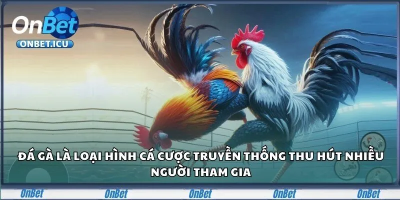 Onbet 24 Đá gà là loại hình cá cược truyền thống thu hút nhiều người tham gia